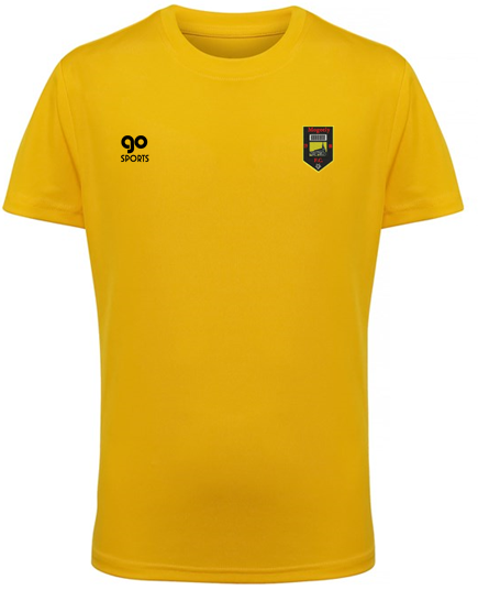 Mogeely FC Training Tee Adult